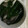 ma___111's cooksnap of when they made ニラと舞茸のスープ★.
