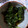 家系大好き's cooksnap of when they made 簡単！ほうれん草のおひたし.