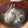 ネギがお好き's cooksnap of when they made 簡単☆新たまねぎと舞茸のコンソメスープ.
