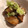 るるキキケイコ's cooksnap of when they made さっぱりタレが旨い！鶏モモ焼き.