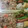 たきゅ's cooksnap of when they made おばあちゃんの炊き込みご飯.