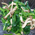 ゆなほむcrea's cooksnap of when they made 【しめじとえのきdeほうれん草のお浸し】.
