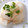 ♡こもれび♡'s cooksnap of when they made かぶの甘酢＋柚子胡椒☆和え♪.