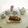 T0moco's cooksnap of when they made ☆Kalter Hund☆カルターフント.
