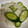 くまの子ども's cooksnap of when they made きゅうりと大根の 柚子胡椒浅漬け.