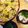 houjitya's cooksnap of when they made はまぐりの潮汁.