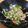 単！！'s cooksnap of when they made 混ぜるだけ♪セロリの葉っぱの納豆和え.