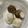 赤い子鹿's cooksnap of when they made ＊ルクエを活用！里芋の皮むき＊.
