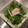 Sun Flover's cooksnap of when they made ちょこっとつまみ　もやしと明太ヨーグルト.