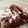 ごとちん★'s cooksnap of when they made 簡単超濃厚！チョコレートケーキ！.