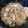 りっか〜's cooksnap of when they made 簡単！鶏肉とゴボウの炊き込みご飯.