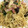 くりごはん19's cooksnap of when they made きのことベーコンの和風パスタ。.