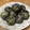 ナタデココア☆'s cooksnap of when they made たこ焼き器でごま団子.