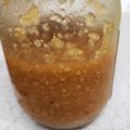 アリエナリ's cooksnap of when they made FPで、生姜と玉ねぎの食べるドレッシング.