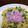 yurikako's cooksnap of when they made ＊薔薇大根deハートのちらし寿司ケーキ＊.