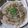 matsu1016's cooksnap of when they made もやしと豚肉のレンジ蒸し.