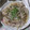matsu1016's cooksnap of when they made もやしと豚肉のレンジ蒸し.
