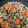 クックZ5DBHD☆'s cooksnap of when they made 蓮根と青梗菜と豚バラ肉の中華炒め.