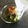hawaiisunny's cooksnap of when they made ポン酢と大根おろしの爽快つけ麺.