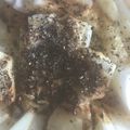 お願いひつじ's cooksnap of when they made 丸ごとたまねぎのピリ辛おつまみ❀.