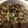 10nmam's cooksnap of when they made あさりとエリンギのアヒージョ♪.