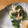 ∞らら∞'s cooksnap of when they made 菜の花と竹輪の簡単合え♪.