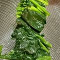 さばを's cooksnap of when they made おいしい、ほうれん草のおひたし（茹で方）.