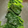 さばを's cooksnap of when they made おいしい、ほうれん草のおひたし（茹で方）.