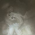 ma___111's cooksnap of when they made 牛すじの塩にんにく煮.