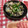クック2K99PY☆'s cooksnap of when they made あさりの酒蒸し.