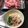 ルぴあ's cooksnap of when they made 鉄分たっぷり！ラム肉の常夜鍋.