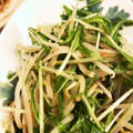 みーちゃんかなこ's cooksnap of when they made シャキシャキ！水菜ともやしのサラダ☆.