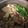 かめっちルンルン's cooksnap of when they made 鯵とおからのほわほわつみれ鍋.