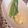 komugiko4's cooksnap of when they made アスパラや茹で野菜の好きな食べ方.