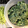 pali's cooksnap of when they made ケールの簡単な処理と切り方.