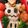 ハルママ＊°'s cooksnap of when they made キャラ弁 ポケモン ミミッキュ.