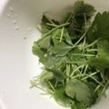 マリアマリママ's cooksnap of when they made 三つ葉入り「だし巻き卵」.