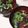 korenchisa's cooksnap of when they made 簡単!カップでわかめスープ.