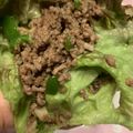 の〜びこ's cooksnap of when they made 暑い夏に！レタスのひき肉包み.