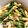 かぴーな's cooksnap of when they made きのこたっぷりパスタ.
