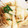 ちぴmnt's cooksnap of when they made 長いもとえのきのバター炒め.