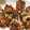 クックOPZ7VB☆'s cooksnap of when they made 鶏つくねの照り焼き 卵の黄身添え.