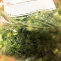 茹ですぎ卵's cooksnap of when they made 長ねぎの青い部分の保存.