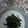ベル★'s cooksnap of when they made クレイジーなインゲンの素揚げ.