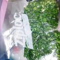 hozunyam's cooksnap of when they made ニラの冷凍保存.