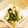 みきちゃん0910's cooksnap of when they made 京風✿小松菜と油揚げの煮びたし.