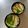 ▽▲まゆ▲▽'s cooksnap of when they made アラ～！！ナント言う手抜き茶碗蒸し.