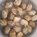 低カロ探検隊's cooksnap of when they made プロ直伝！あさりの砂抜きと海水の塩分濃度.
