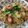 IMKI's cooksnap of when they made ベーコンとサラダ菜のパスタ☆.