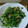 枝っち's cooksnap of when they made 菜の花とあさりの炒め物.